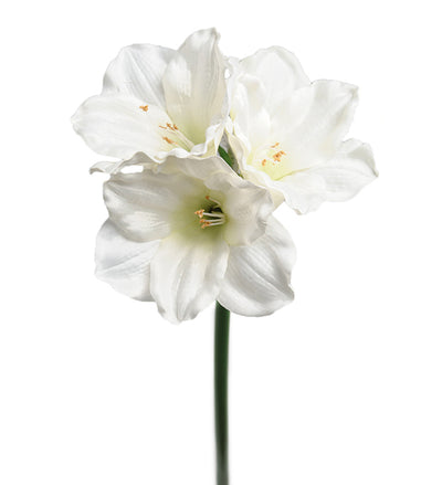 Amaryllis konstgjord blomma i vit.